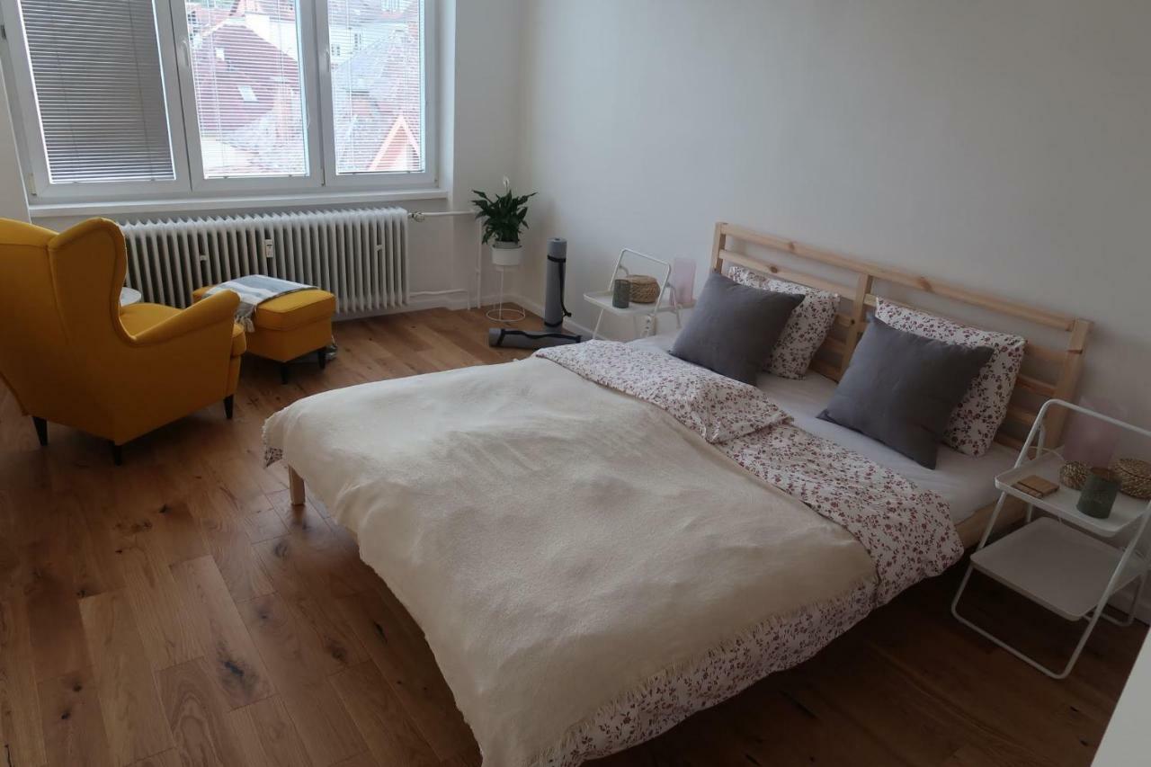 Hniezdo V Raji 1 - Luxurious Apartment 3 Min Walk To City Center Spisska Nova Ves Exterior foto